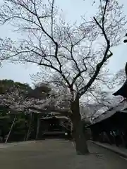 宇都宮二荒山神社(栃木県)