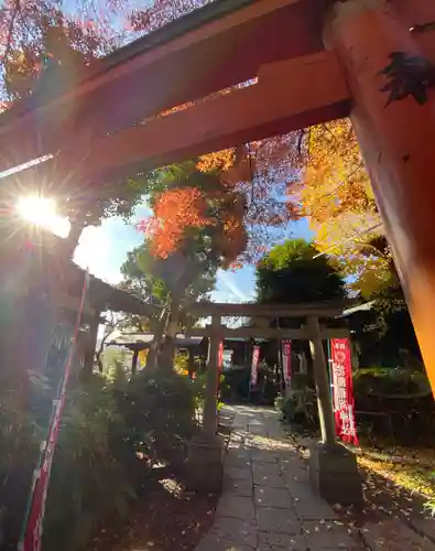 花園稲荷神社の鳥居