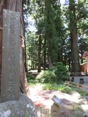 河口浅間神社のその他建物