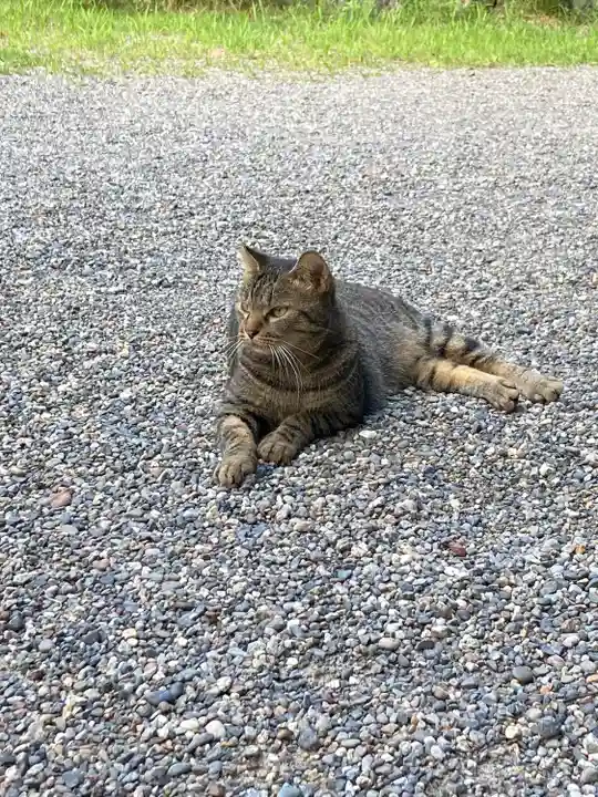 熱田神宮(愛知県)