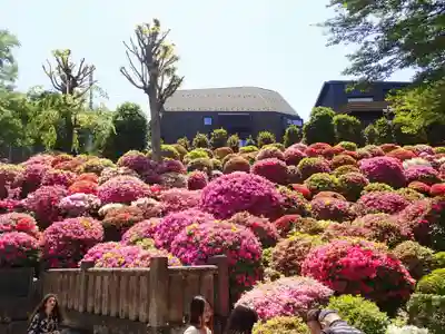 根津神社(東京都)