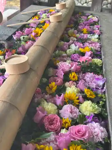 群馬県護国神社(群馬県)