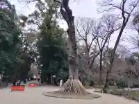 賀茂御祖神社(下鴨神社)の{uncategorized: "未分類", other: "その他", undefined: "問題あり", building: "その他建物", grave: "お墓", sacred_gate: "鳥居", guardian: "狛犬", statue: "像", buddha: "仏像", history: "歴史", nature: "自然", garden: "庭園", animal: "動物", pagoda: "塔", temizu: "手水舎", mountain_gate: "山門・神門", sanctuary: "本殿・本堂", subordinate: "末社・摂社", art: "芸術", scenery: "景色", jizo: "地蔵", ema: "絵馬", goshuin: "御朱印", omikuji: "おみくじ", items: "授与品その他", amulet: "お守り", goshuincho: "御朱印帳", eats: "食事", festival: "お祭り", votive_dance: "神楽", shichigosan: "七五三参", wedding: "結婚式", experience: "体験その他", initially: "初詣", around: "周辺", anti_infection: "感染症対策"}