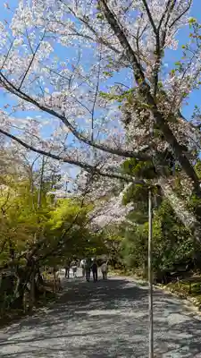 龍安寺(京都府)