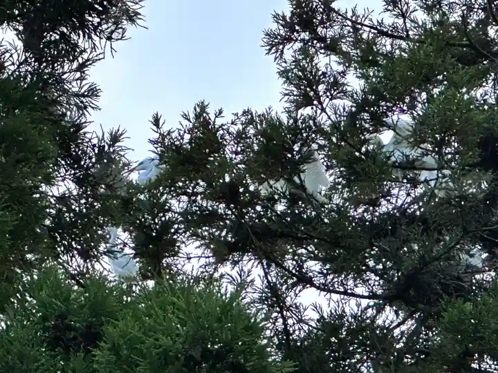 糸井神社(奈良県)