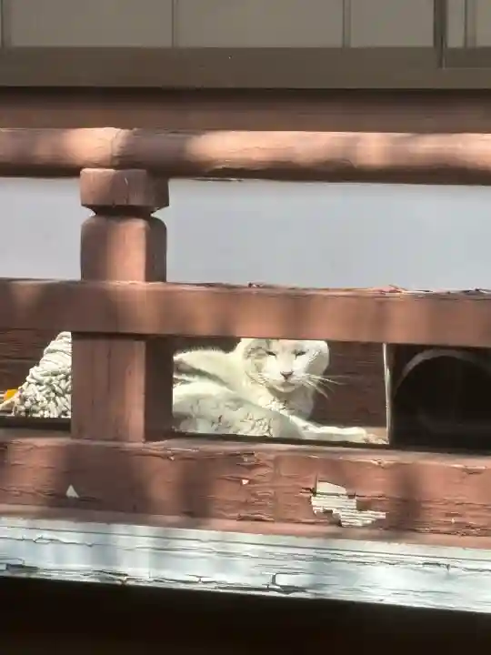 專念寺(神奈川県)