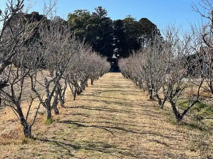 天満神社(滋賀県)