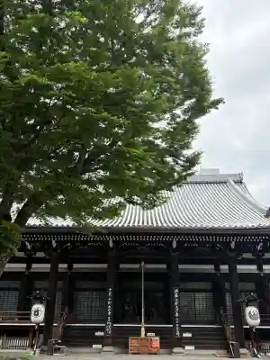 本能寺の{uncategorized: "未分類", other: "その他", undefined: "問題あり", building: "その他建物", grave: "お墓", sacred_gate: "鳥居", guardian: "狛犬", statue: "像", buddha: "仏像", history: "歴史", nature: "自然", garden: "庭園", animal: "動物", pagoda: "塔", temizu: "手水舎", mountain_gate: "山門・神門", sanctuary: "本殿・本堂", subordinate: "末社・摂社", art: "芸術", scenery: "景色", jizo: "地蔵", ema: "絵馬", goshuin: "御朱印", omikuji: "おみくじ", items: "授与品その他", amulet: "お守り", goshuincho: "御朱印帳", eats: "食事", festival: "お祭り", votive_dance: "神楽", shichigosan: "七五三参", wedding: "結婚式", experience: "体験その他", initially: "初詣", around: "周辺", anti_infection: "感染症対策"}