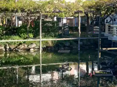 亀戸天神社(東京都)