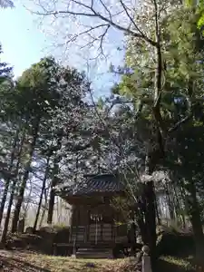 八幡神社(福島県)(2026年04月08日(水) 22時34分35秒投稿)