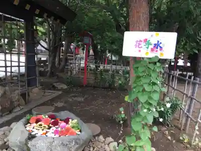 発寒神社の手水舎