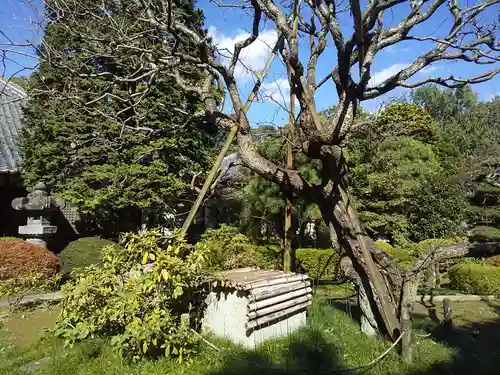 廣福寺(埼玉県)