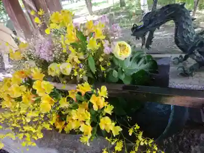 彌彦神社　(伊夜日子神社)の手水舎