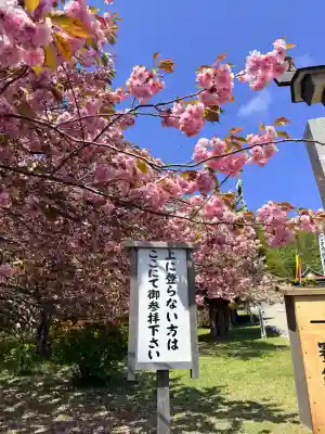 石崎地主海神社(北海道)