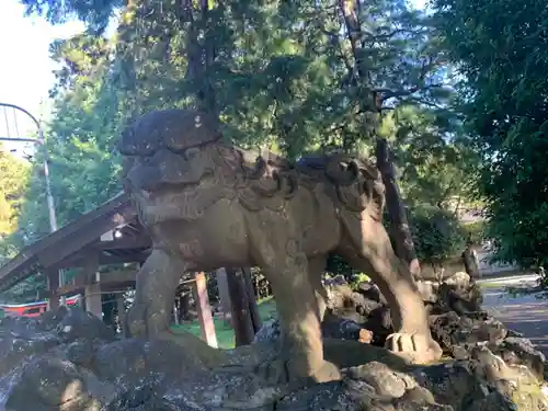 下鶴馬氷川神社の狛犬