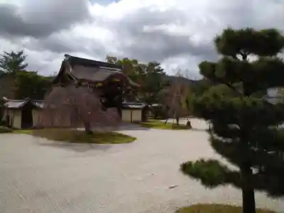大覚寺(京都府)