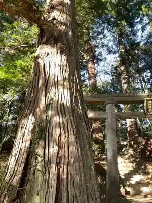 北野神社のその他建物
