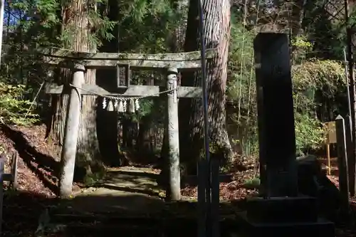 隠津島神社の鳥居