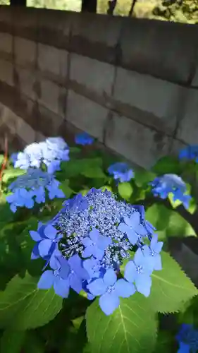 相馬神社(北海道)