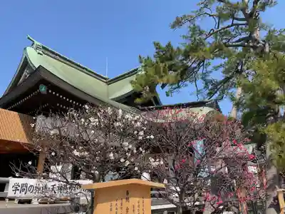 白山神社(新潟県)