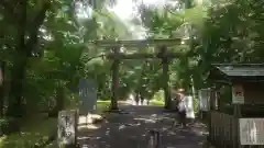 戸隠神社九頭龍社(長野県)