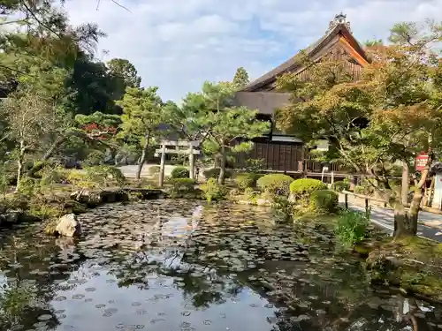 金地院の庭園