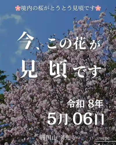 宝光寺(北海道)