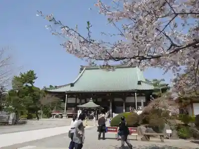 時宗総本山 遊行寺（正式：清浄光寺）の本殿・本堂
