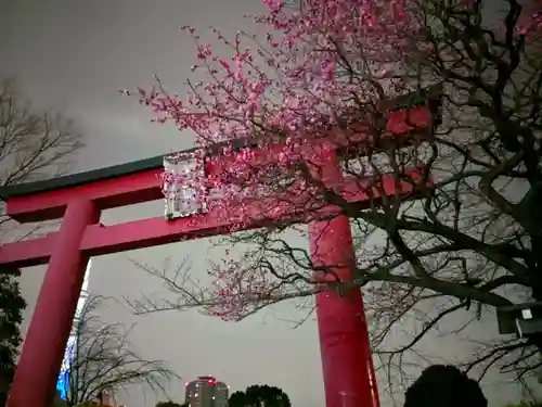 亀戸天神社(東京都)