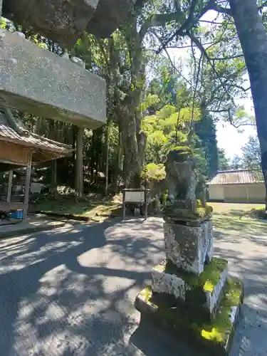 水神社の狛犬