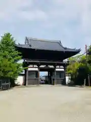 當麻寺　護念院の山門