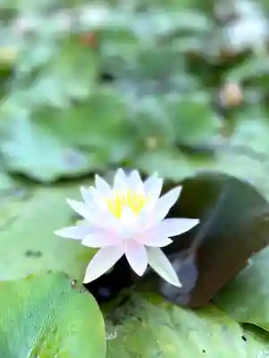 倶梨迦羅神社(長野県)