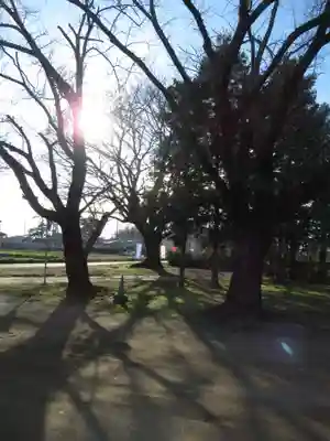 伏木香取神社の自然