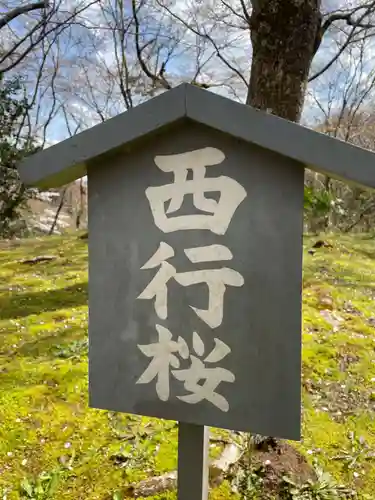 勝持寺（花の寺）(京都府)