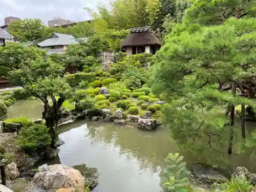 等持院の庭園