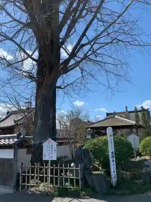 恩林寺のその他建物