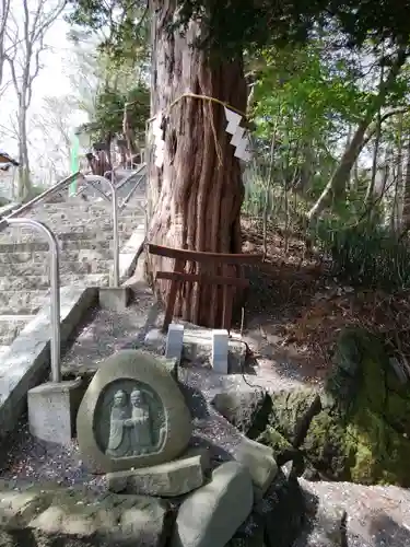 千歳神社の鳥居