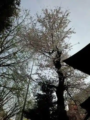 天祖神社の自然