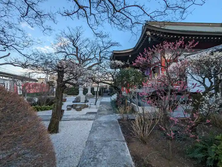 大光寺(東京都)