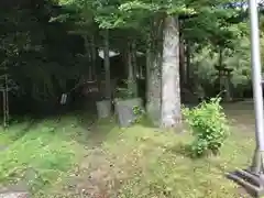 熊野神社の自然