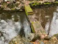 白石神社の{uncategorized: "未分類", other: "その他", undefined: "問題あり", building: "その他建物", grave: "お墓", sacred_gate: "鳥居", guardian: "狛犬", statue: "像", buddha: "仏像", history: "歴史", nature: "自然", garden: "庭園", animal: "動物", pagoda: "塔", temizu: "手水舎", mountain_gate: "山門・神門", sanctuary: "本殿・本堂", subordinate: "末社・摂社", art: "芸術", scenery: "景色", jizo: "地蔵", ema: "絵馬", goshuin: "御朱印", omikuji: "おみくじ", items: "授与品その他", amulet: "お守り", goshuincho: "御朱印帳", eats: "食事", festival: "お祭り", votive_dance: "神楽", shichigosan: "七五三参", wedding: "結婚式", experience: "体験その他", initially: "初詣", around: "周辺", anti_infection: "感染症対策"}