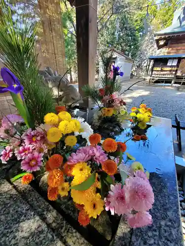 滑川神社 - 仕事と子どもの守り神の手水