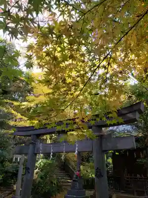 赤坂氷川神社(東京都)