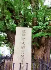 善福寺(東京都)