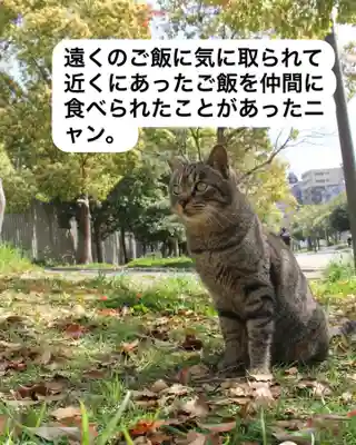 専念寺(大阪府)