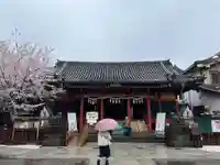 浅草神社の本殿・本堂