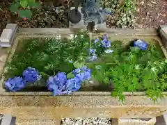 星宮神社(栃木県)