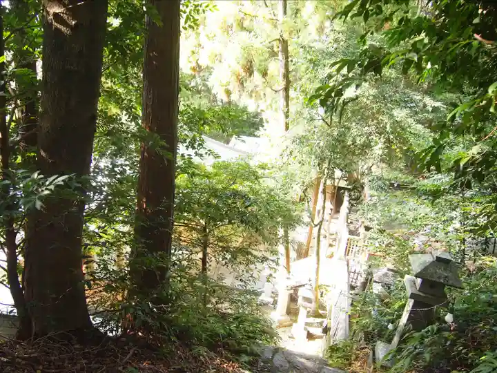 杉尾神社(和歌山県)