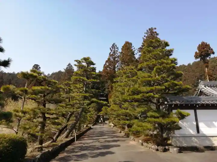 東光寺のその他建物