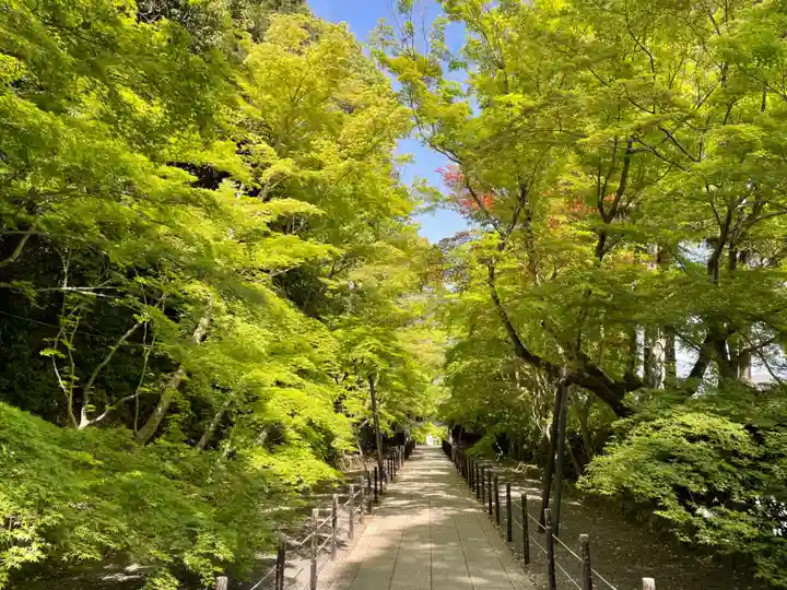 光明寺(粟生光明寺)(京都府)